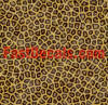 Cheetah Decals